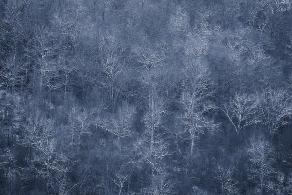 Frozen. Roche d'Anse